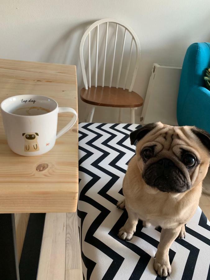 Cute Pug Guest Room Kopenhagen Bagian luar foto