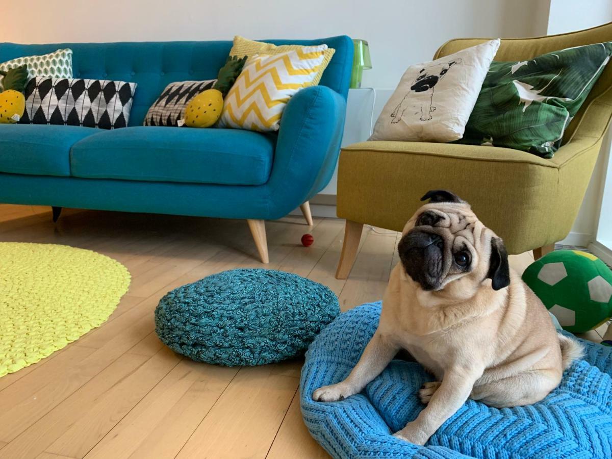 Cute Pug Guest Room Kopenhagen Bagian luar foto